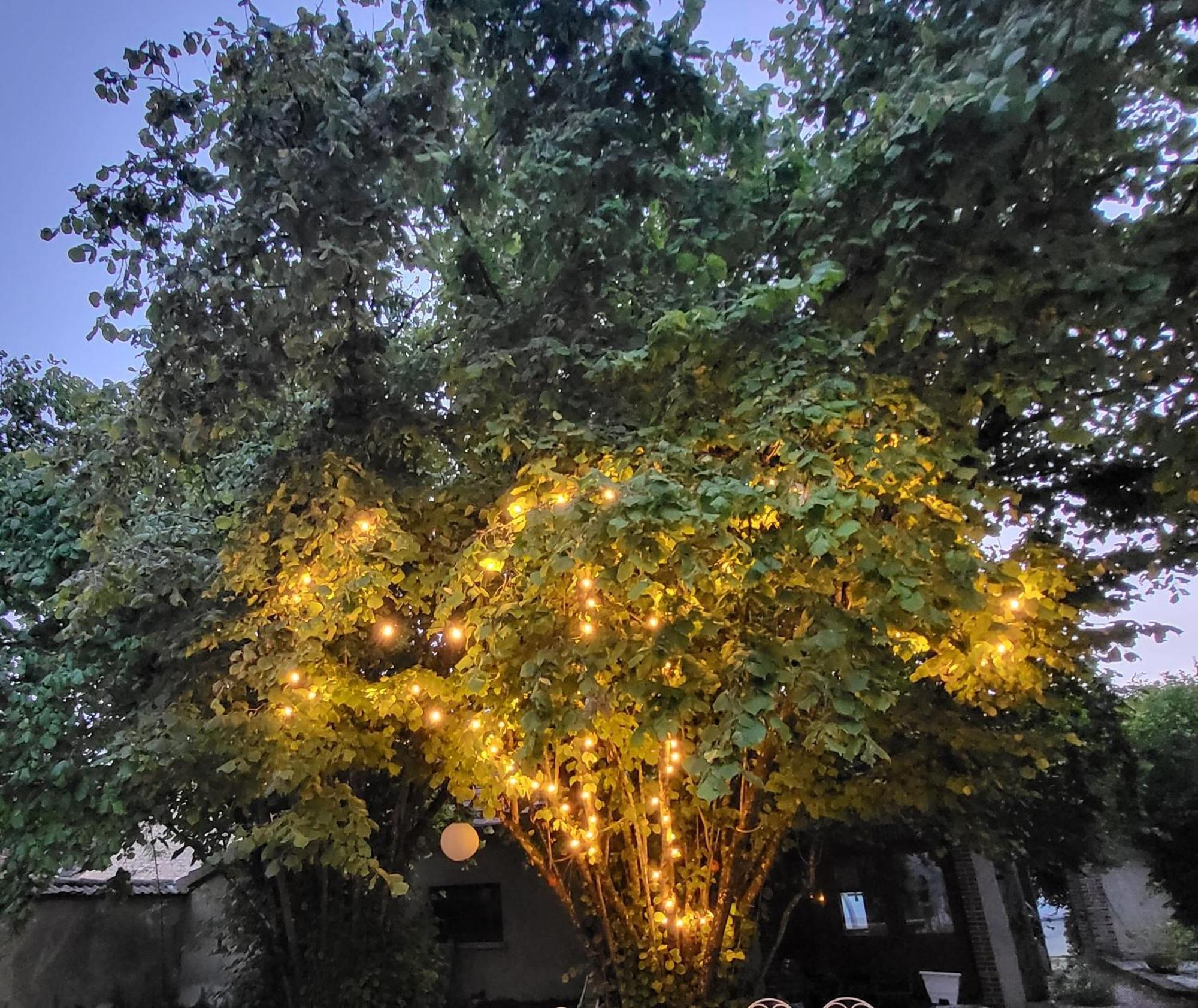 Bed and Breakfast La Demeure D'Othe Sormery Exterior foto